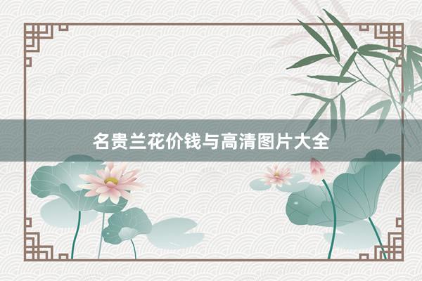 名贵兰花价钱与高清图片大全