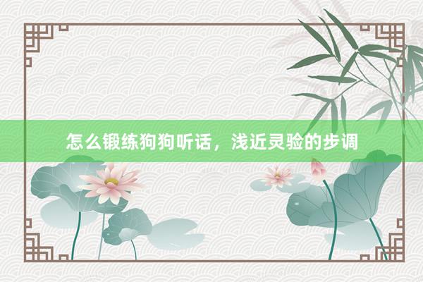 怎么锻练狗狗听话,浅近灵验的步调