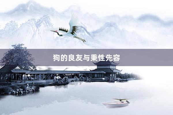 狗的良友与秉性先容